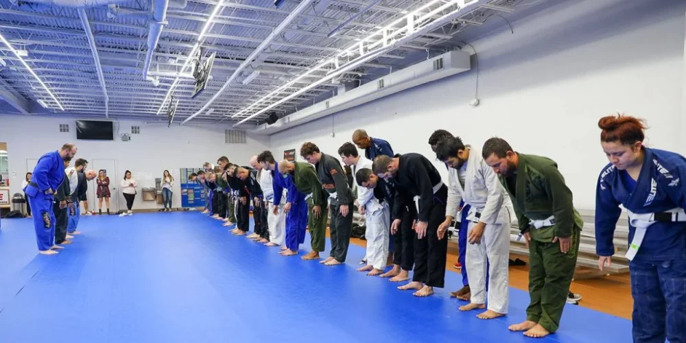 Jiu Jitsu Schools Transforms Your Gym Experience
